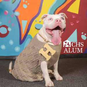 Fundraising Page: Pamela Fagundo